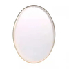 Oval Shapes Black Golden Aluminum Frame Mirror
