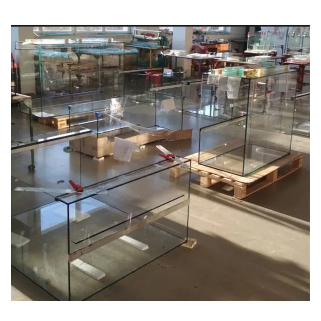 4mm 6mm 8mm 10mm 12mm 19mm Clear Aquarium Glass with Polished Edge