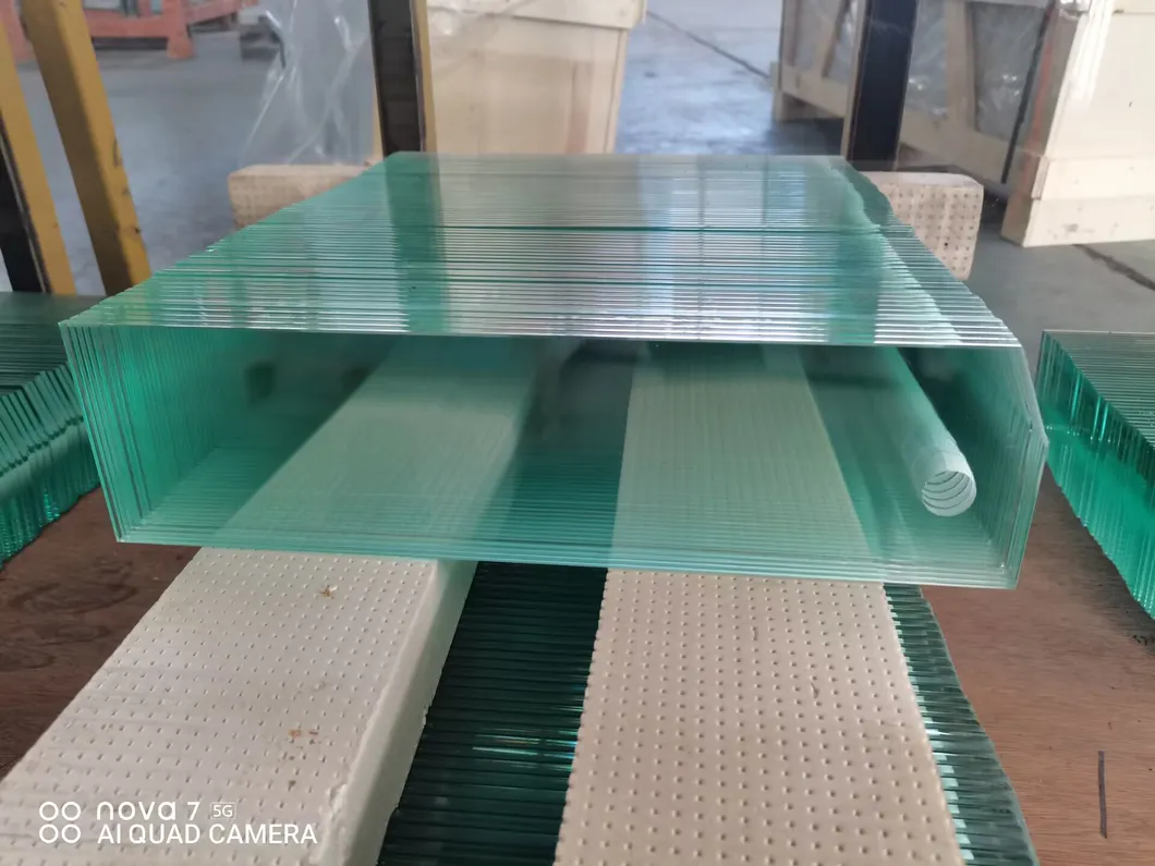 4mm 6mm 8mm 10mm 12mm 19mm Clear Aquarium Glass with Polished Edge