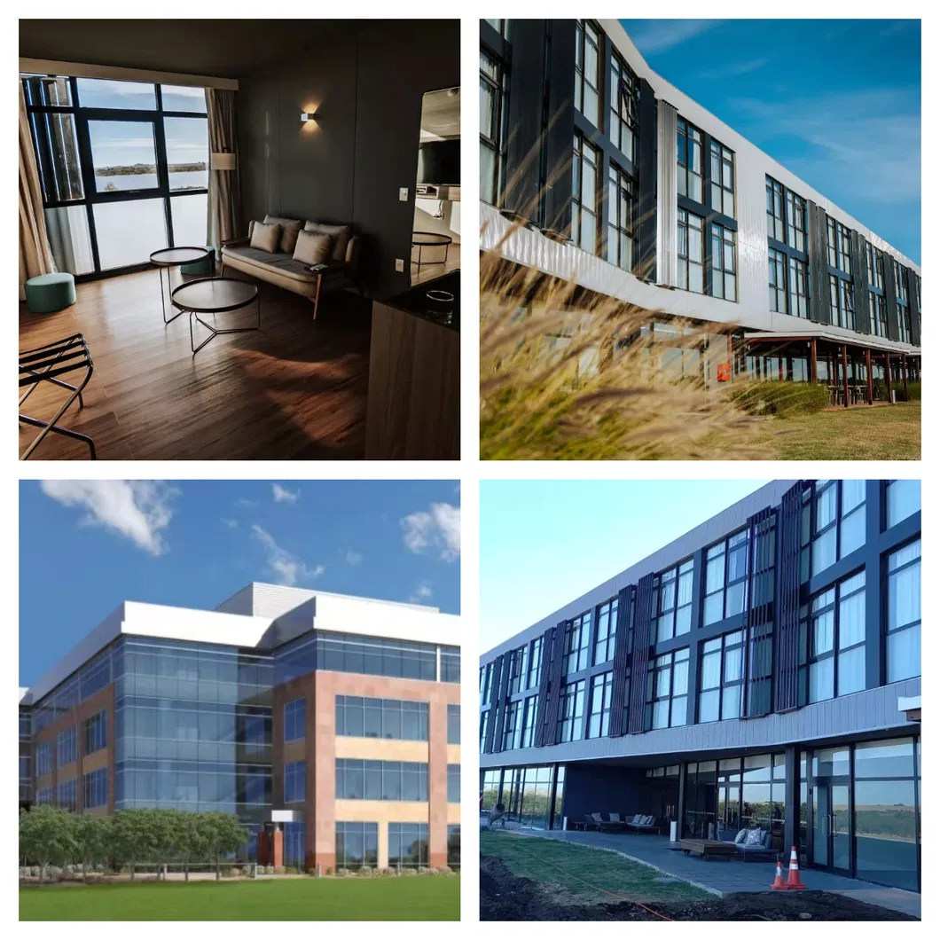 Flat and Curved Single Double Layers Silver Coating Low-E Insulating Igu Glass