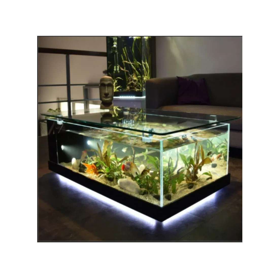 4mm 6mm 8mm 10mm 12mm 19mm Clear Aquarium Glass with Polished Edge