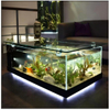 4mm 6mm 8mm 10mm 12mm 19mm Clear Aquarium Glass with Polished Edge