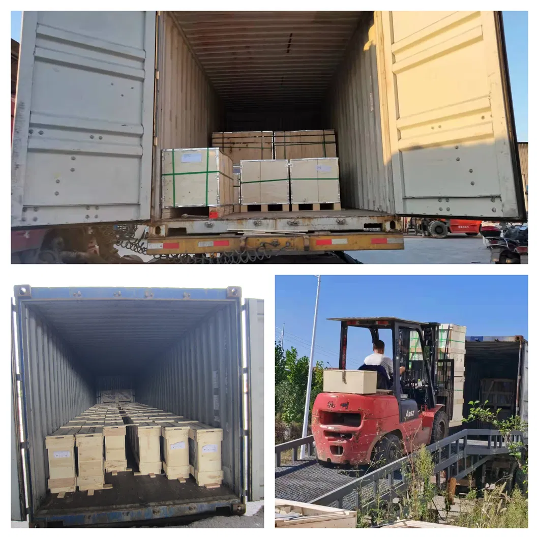 12mm Padel Court Tempered Glass