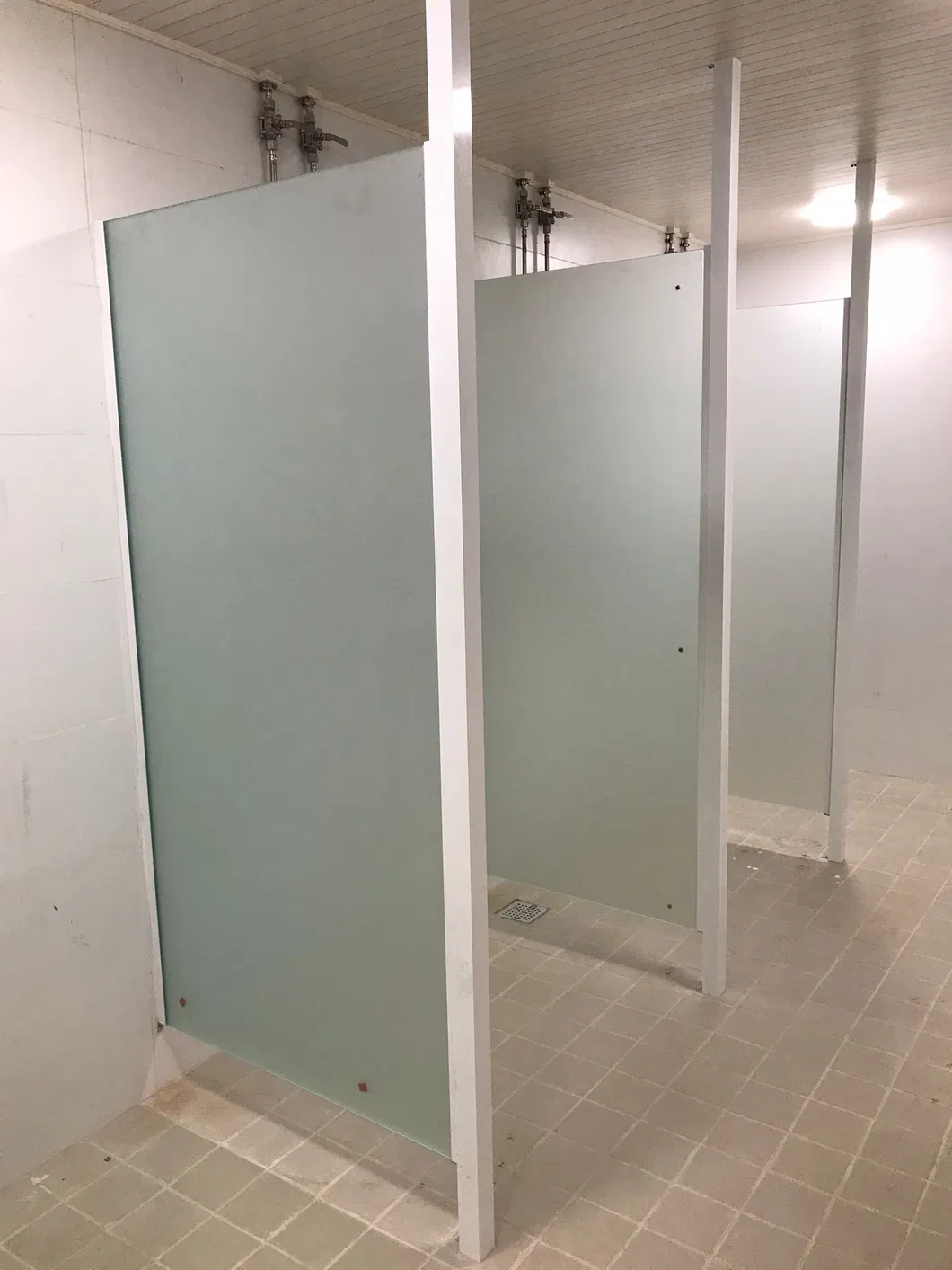 6mm 8mm 10mm Tempered Shower Glass