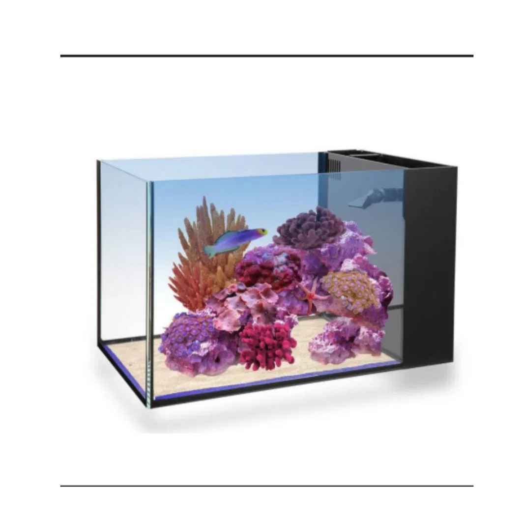 4mm 6mm 8mm 10mm 12mm 19mm Clear Aquarium Glass with Polished Edge