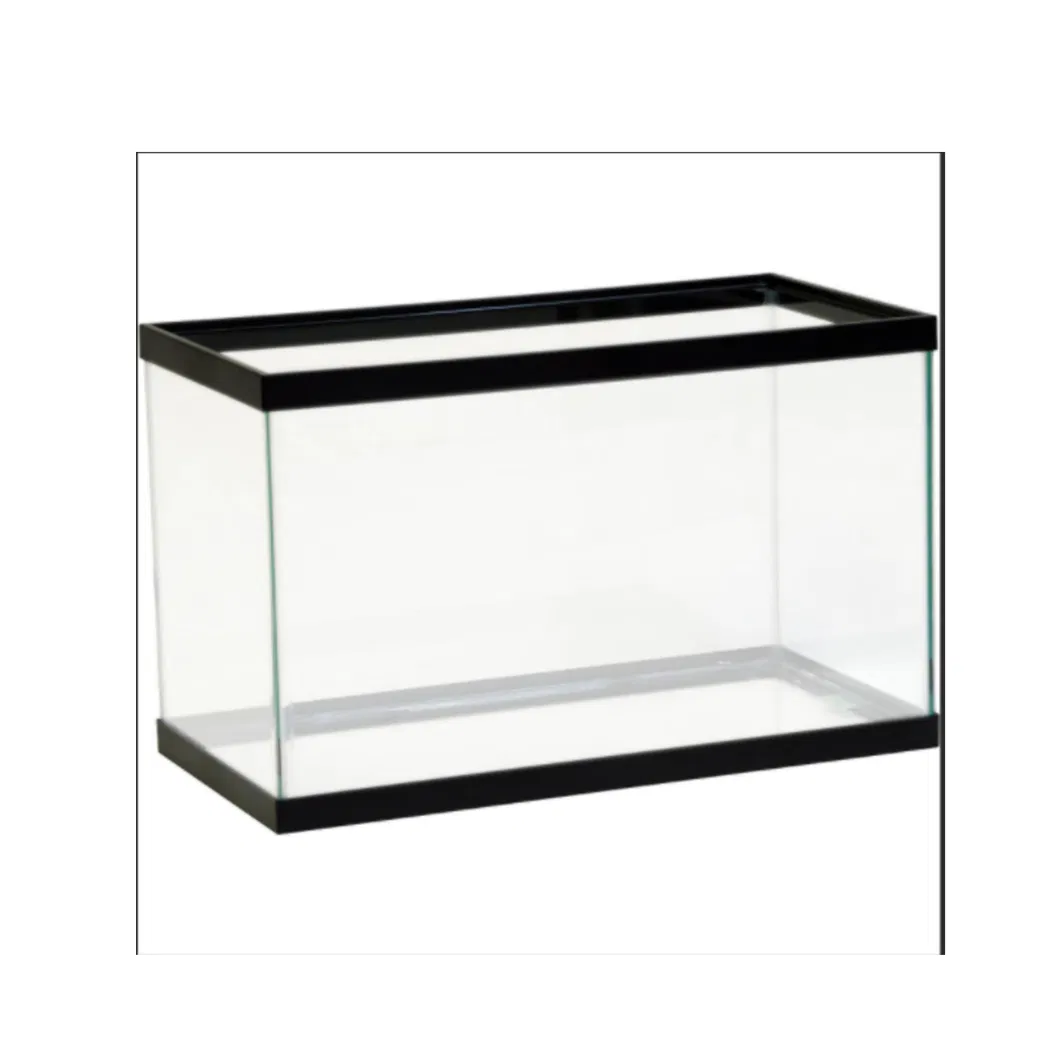 4mm 6mm 8mm 10mm 12mm 19mm Clear Aquarium Glass with Polished Edge