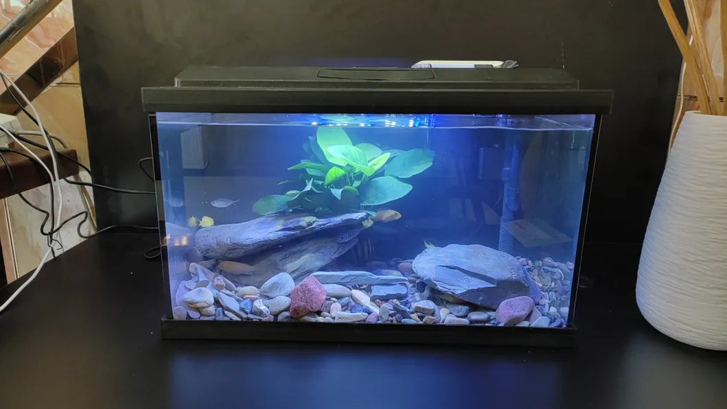 4mm 6mm 8mm 10mm 12mm 19mm Clear Aquarium Glass with Polished Edge