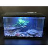 4mm-12mm Extra Clear Aquarium Glass with Polished All Edges